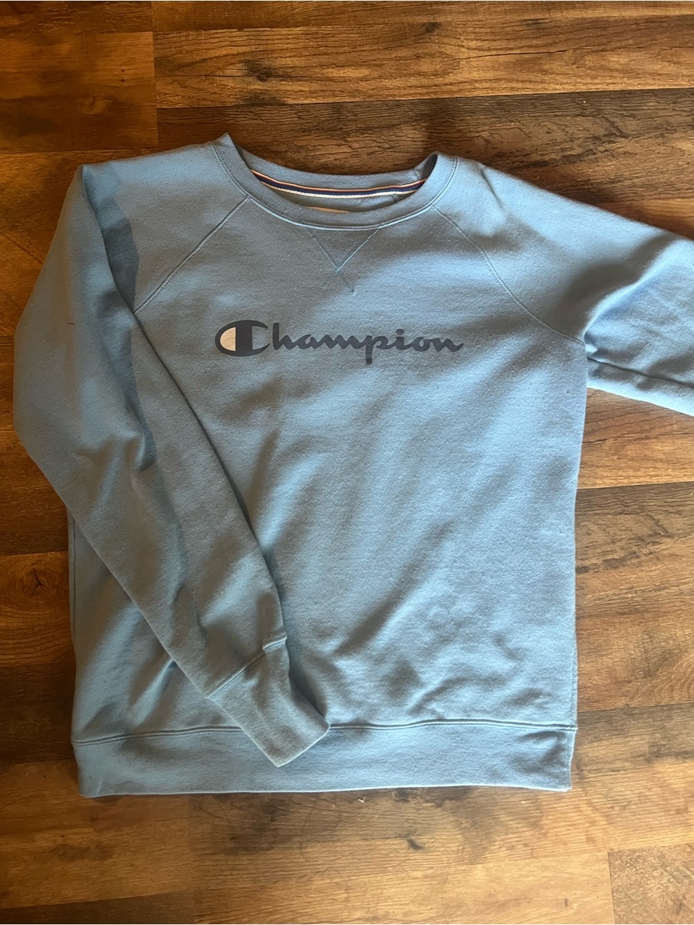 Champion Crewneck Sweatshirt in Light Blue
